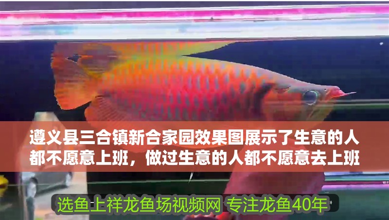 遵義縣三合鎮新合家園效果圖展示了生意的人都不愿意上班，做過生意的人都不愿意去上班