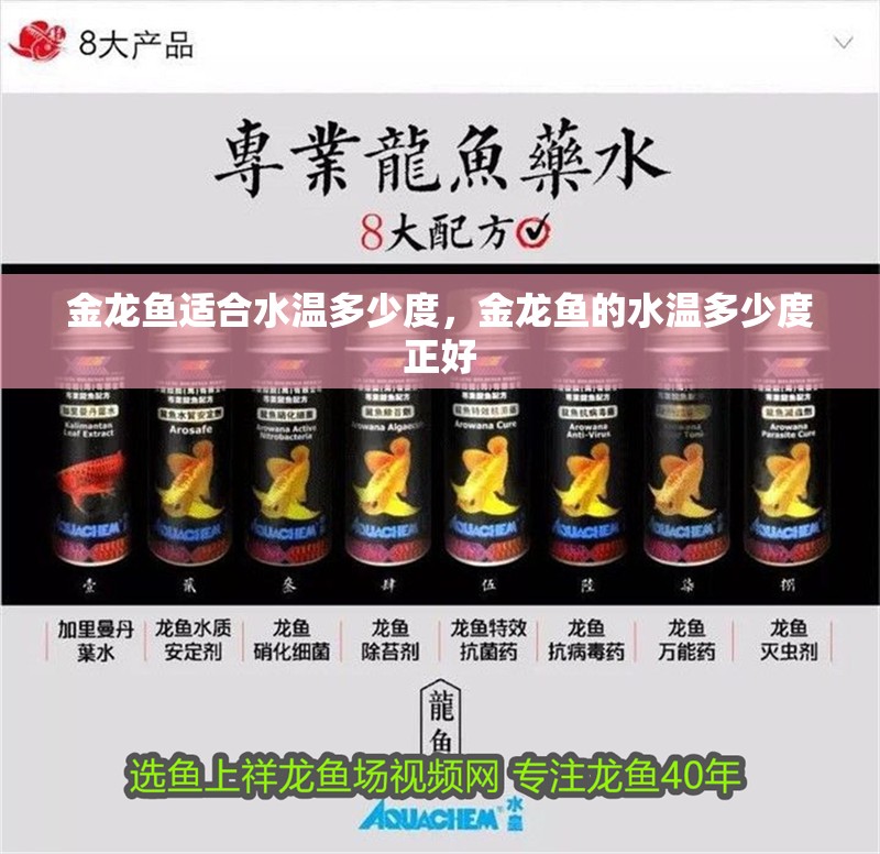 金龍魚適合水溫多少度，金龍魚的水溫多少度正好