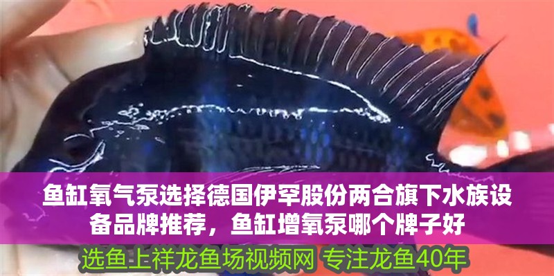 魚缸氧氣泵選擇德國伊罕股份兩合旗下水族設備品牌推薦，魚缸增氧泵哪個牌子好