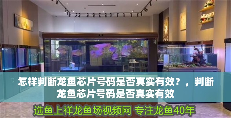 怎樣判斷龍魚(yú)芯片號(hào)碼是否真實(shí)有效？，判斷龍魚(yú)芯片號(hào)碼是否真實(shí)有效