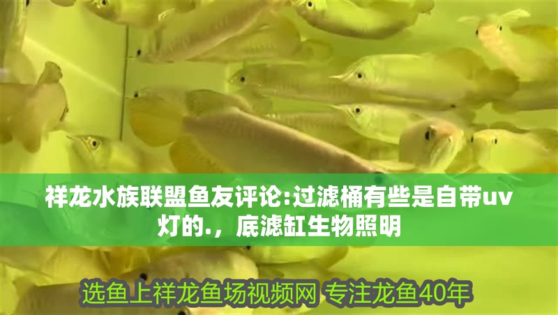 祥龍水族聯盟魚友評論:過濾桶有些是自帶uv燈的.，底濾缸生物照明