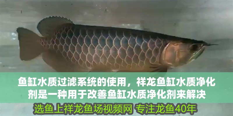 魚缸水質過濾系統的使用，祥龍魚缸水質凈化劑是一種用于改善魚缸水質凈化劑來解決