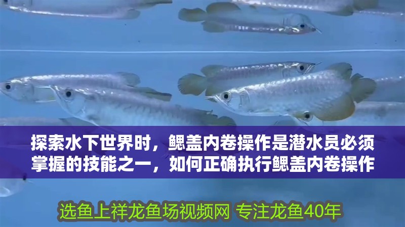 探索水下世界時，鰓蓋內卷操作是潛水員必須掌握的技能之一，如何正確執行鰓蓋內卷操作