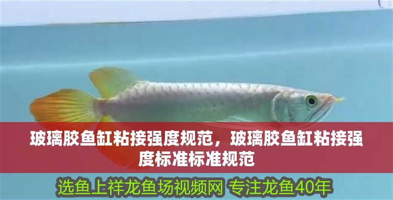 玻璃膠魚缸粘接強度規范，玻璃膠魚缸粘接強度標準標準規范