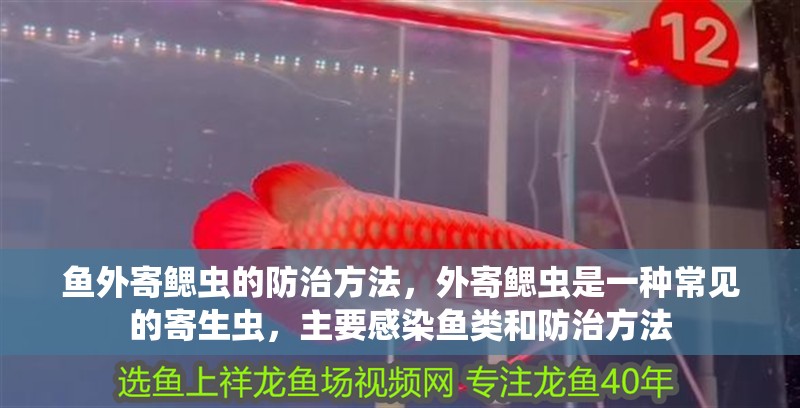 魚外寄鰓蟲的防治方法，外寄鰓蟲是一種常見的寄生蟲，主要感染魚類和防治方法