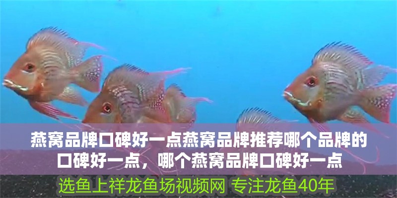 燕窩品牌口碑好一點燕窩品牌推薦哪個品牌的口碑好一點，哪個燕窩品牌口碑好一點