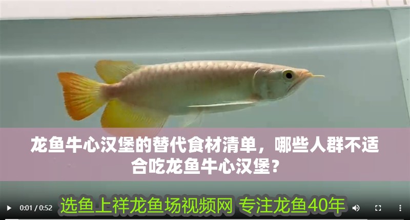 龍魚牛心漢堡的替代食材清單，哪些人群不適合吃龍魚牛心漢堡？