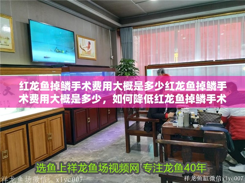 紅龍魚掉鱗手術費用大概是多少紅龍魚掉鱗手術費用大概是多少，如何降低紅龍魚掉鱗手術的風險？