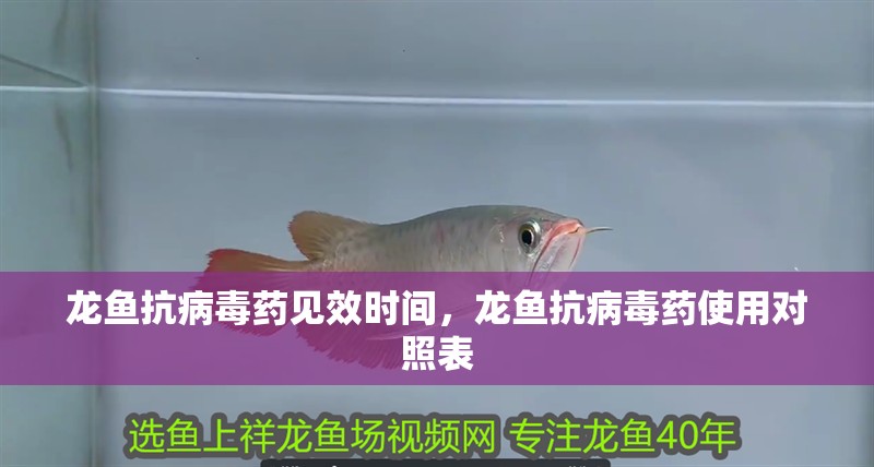 龍魚抗病毒藥見效時間，龍魚抗病毒藥使用對照表