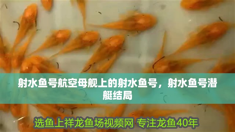 射水魚號(hào)航空母艦上的射水魚號(hào)，射水魚號(hào)潛艇結(jié)局