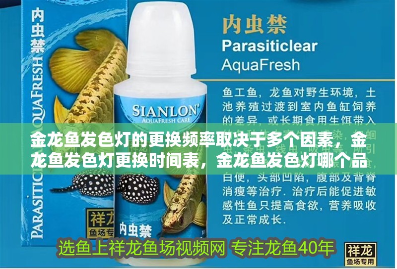 金龍魚發色燈的更換頻率取決于多個因素，金龍魚發色燈更換時間表，金龍魚發色燈哪個品牌最好，金龍魚發色燈擺放位置有何講究？