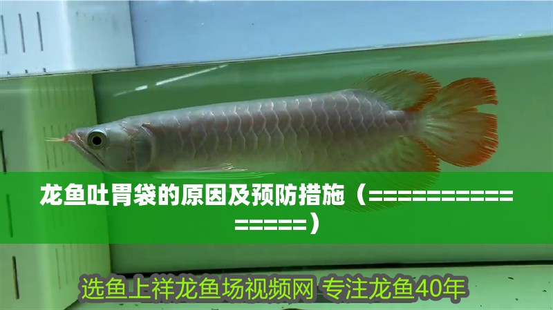 魚缸用增氧泵價格是多少:魚缸增氧機-xtrac增氧機-xtrac增氧機 龍魚吐胃袋的原因及預防措施(===============) 觀賞魚百科 龍魚吐胃袋的原因及預防措施(===============) 龍魚吐胃袋的原因及預防措施(===============) 觀賞魚百科