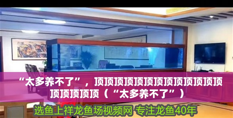 “太多養不了”，頂頂頂頂頂頂頂頂頂頂頂頂頂頂頂頂頂頂（“太多養不了”）