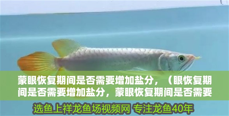 蒙眼恢復期間是否需要增加鹽分，（眼恢復期間是否需要增加鹽分，蒙眼恢復期間是否需要增加鹽分）