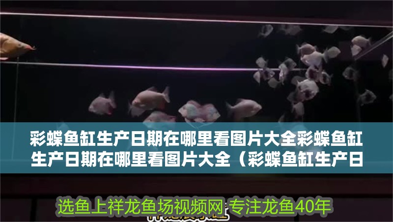 彩蝶魚缸生產日期在哪里看圖片大全彩蝶魚缸生產日期在哪里看圖片大全（彩蝶魚缸生產日期在哪里看圖片大全）