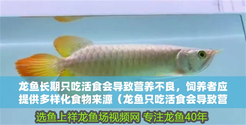 龍魚長期只吃活食會導致營養不良，飼養者應提供多樣化食物來源（龍魚只吃活食會導致營養不良嗎？）