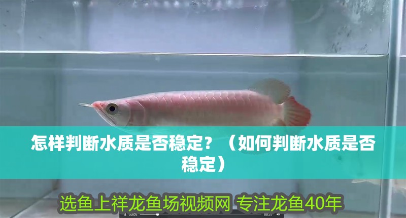 怎樣判斷水質是否穩(wěn)定？（如何判斷水質是否穩(wěn)定）