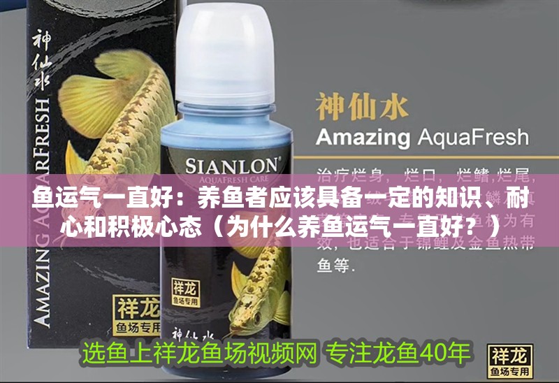 魚運氣一直好：養魚者應該具備一定的知識、耐心和積極心態（為什么養魚運氣一直好？）