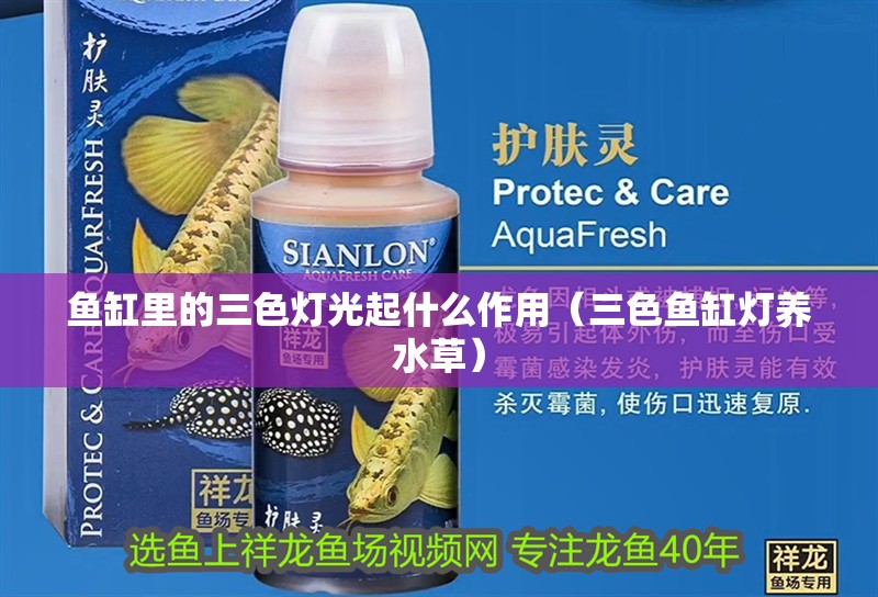 魚缸里的三色燈光起什么作用（三色魚缸燈養水草）