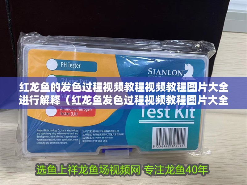 紅龍魚的發色過程視頻教程視頻教程圖片大全進行解釋（紅龍魚發色過程視頻教程圖片大全）