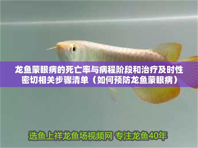 龍魚蒙眼病的死亡率與病程階段和治療及時性密切相關步驟清單（如何預防龍魚蒙眼病）
