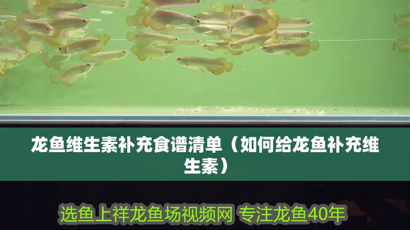 龍魚維生素補(bǔ)充食譜清單（如何給龍魚補(bǔ)充維生素）