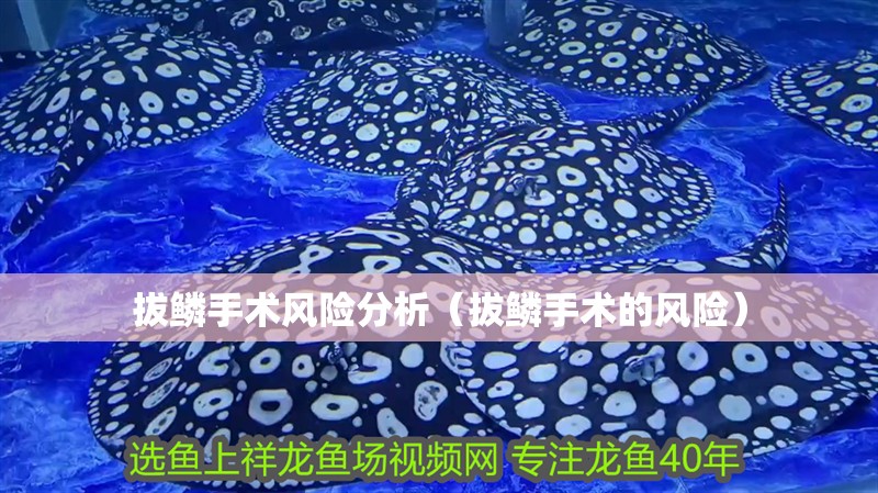 拔鱗手術風險分析（拔鱗手術的風險）