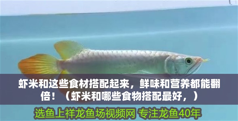 蝦米和這些食材搭配起來，鮮味和營養(yǎng)都能翻倍！（蝦米和哪些食物搭配最好，）