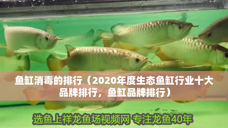 魚缸消毒的排行（2020年度生態魚缸行業十大品牌排行，魚缸品牌排行）