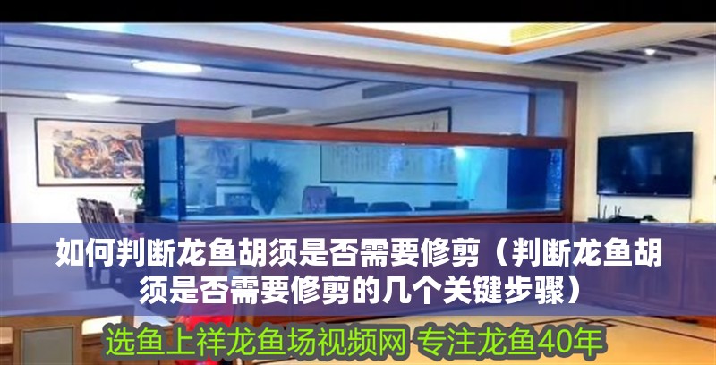 如何判斷龍魚胡須是否需要修剪（判斷龍魚胡須是否需要修剪的幾個關(guān)鍵步驟）