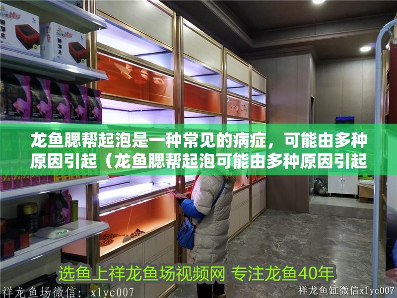 龍魚腮幫起泡是一種常見的病癥，可能由多種原因引起（龍魚腮幫起泡可能由多種原因引起，龍魚腮幫起泡可能感染）