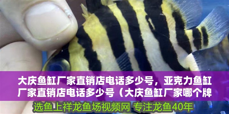 大慶魚缸廠家直銷店電話多少號(hào)，亞克力魚缸廠家直銷店電話多少號(hào)（大慶魚缸廠家哪個(gè)牌子好）