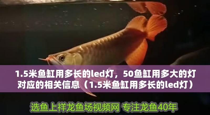 1.5米魚缸用多長的led燈，50魚缸用多大的燈對應的相關信息（1.5米魚缸用多長的led燈）