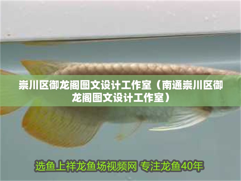 崇川區(qū)御龍閣圖文設(shè)計(jì)工作室（<strong><mark>南通</mark></strong>崇川區(qū)御龍閣圖文設(shè)計(jì)工作室）