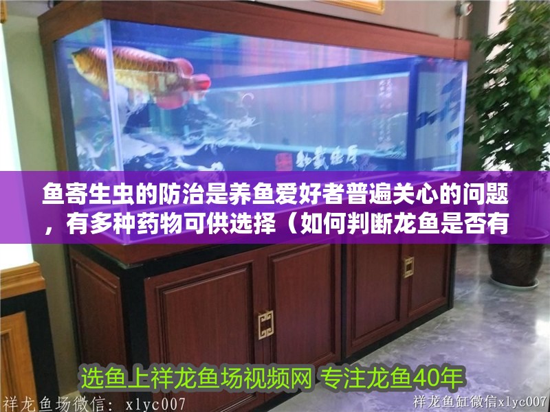 魚寄生蟲的防治是養魚愛好者普遍關心的問題，有多種藥物可供選擇（如何判斷龍魚是否有寄生蟲）