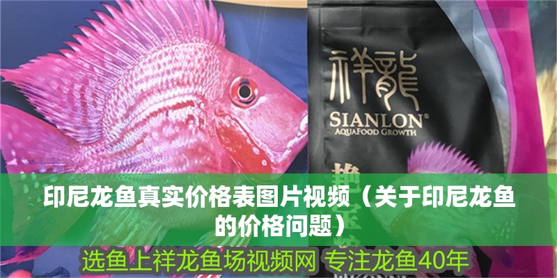 印尼龍魚真實價格表圖片視頻（關于印尼龍魚的價格問題）