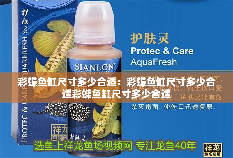 彩蝶魚缸尺寸多少合適：彩蝶魚缸尺寸多少合適彩蝶魚缸尺寸多少合適