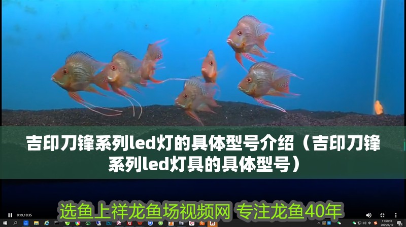 吉印刀鋒系列l(wèi)ed燈的具體型號介紹（吉印刀鋒系列l(wèi)ed燈具的具體型號）