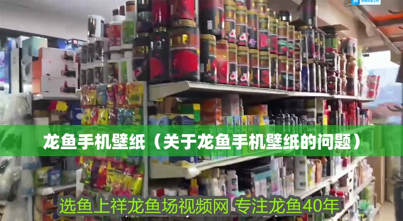 龍魚手機壁紙（關于龍魚手機壁紙的問題）