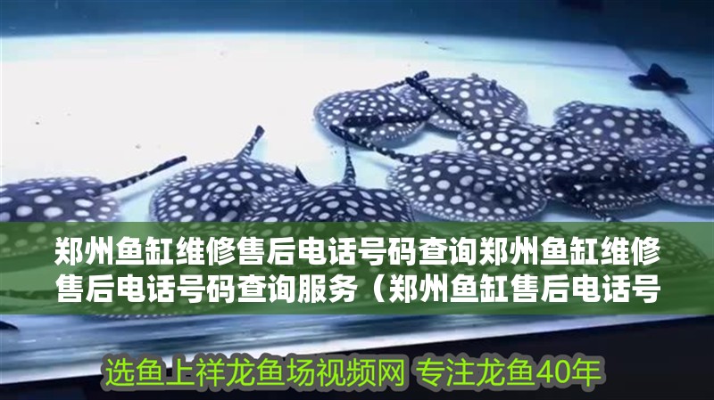 鄭州魚缸維修售后電話號碼查詢鄭州魚缸維修售后電話號碼查詢服務（鄭州魚缸售后電話號碼查詢）