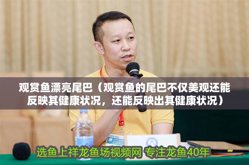 觀賞魚漂亮尾巴（觀賞魚的尾巴不僅美觀還能反映其健康狀況，還能反映出其健康狀況）