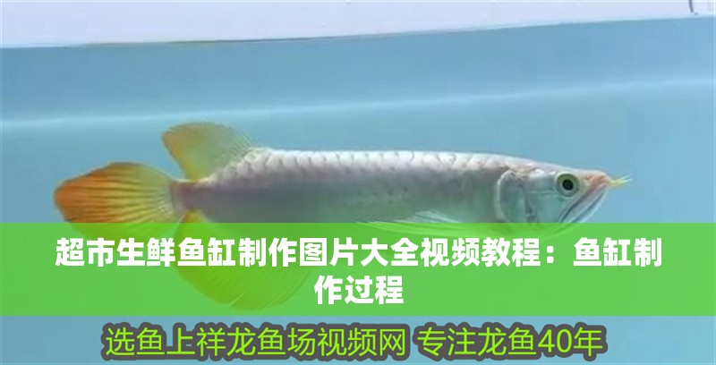 超市生鮮魚缸制作圖片大全視頻教程：魚缸制作過程