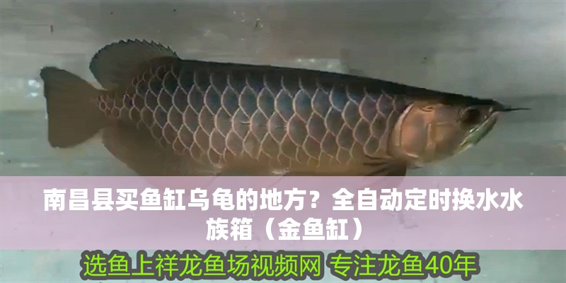 南昌縣買魚缸烏龜?shù)牡胤剑咳詣佣〞r換水水族箱（金魚缸）