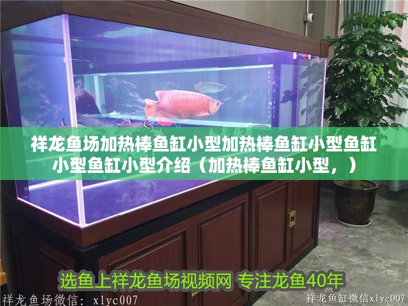 祥龍魚場加熱棒魚缸小型加熱棒魚缸小型魚缸小型魚缸小型介紹（加熱棒魚缸小型，）