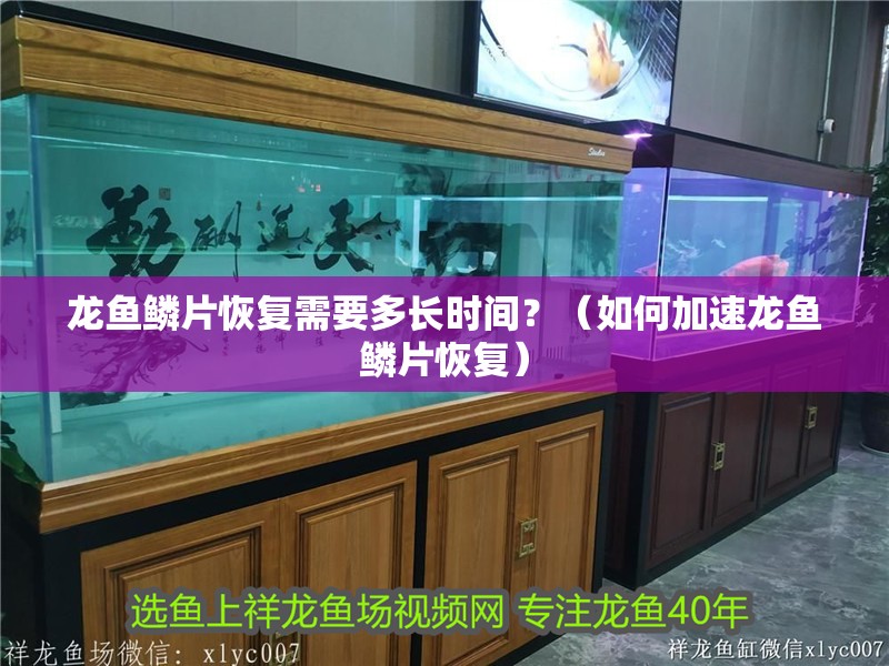 龍魚鱗片恢復需要多長時間？（如何加速龍魚鱗片恢復）