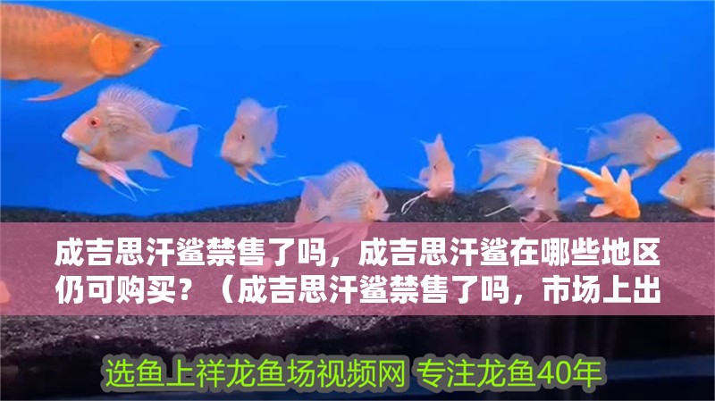 成吉思汗鯊禁售了嗎，成吉思汗鯊在哪些地區(qū)仍可購買？（成吉思汗鯊禁售了嗎，市場上出現(xiàn)了關(guān)于成吉思汗鯊魚肉的討論）