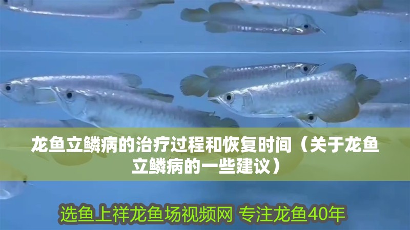 龍魚立鱗病的治療過程和恢復時間（關于龍魚立鱗病的一些建議）