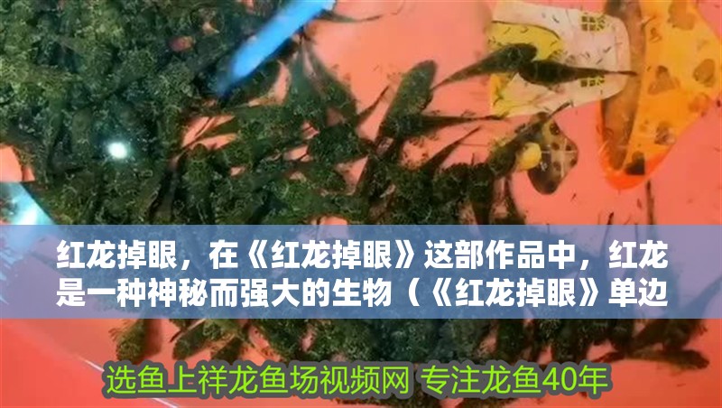玻璃做魚缸怎么粘才牢固:如何自制玻璃魚缸 紅龍掉眼,在《紅龍掉眼》這部作品中,紅龍是一種神秘而強大的生物(《紅龍掉眼》單邊掉的厲害嗎) 觀賞魚百科 紅龍掉眼,在《紅龍掉眼》這部作品中,紅龍是一種神秘而強大的生物(《紅龍掉眼》單邊掉的厲害嗎) 紅龍掉眼,在《紅龍掉眼》這部作品中,紅龍是一種神秘而強大的生物(《紅龍掉眼》單邊掉的厲害嗎) 觀賞魚百科