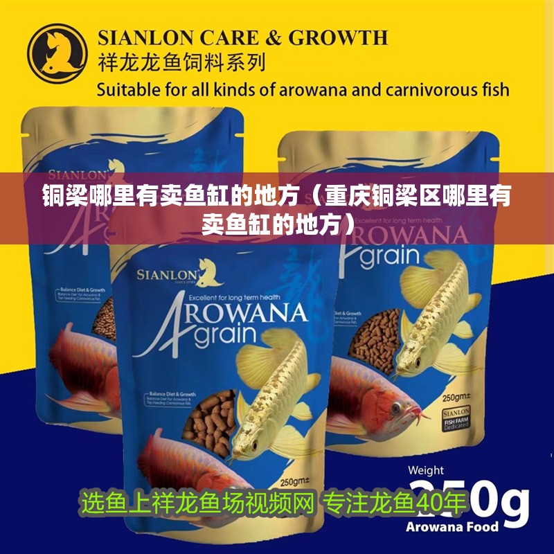 銅梁哪里有賣魚缸的地方（重慶銅梁區哪里有賣魚缸的地方）