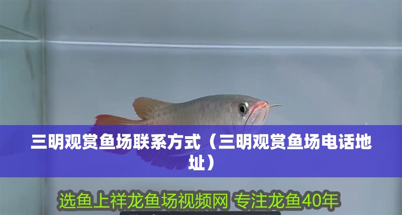 三明觀賞魚場(chǎng)聯(lián)系方式（三明觀賞魚場(chǎng)電話地址）